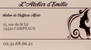 coiffure-emilie-carte-visite