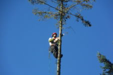 Photo de Canopéa Photo de Canopéa