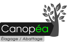 Logo de Canopéa Logo de Canopéa