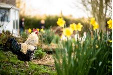 Logo de Le Mallouestan Logo de Le Mallouestan