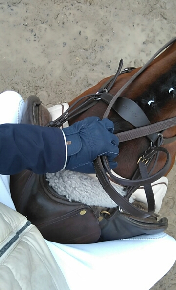 rando-equestre